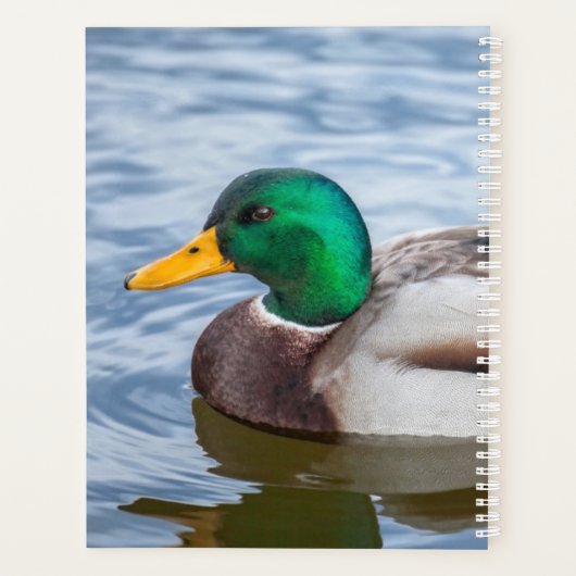 Mallard Duck Planner (Achterkant)