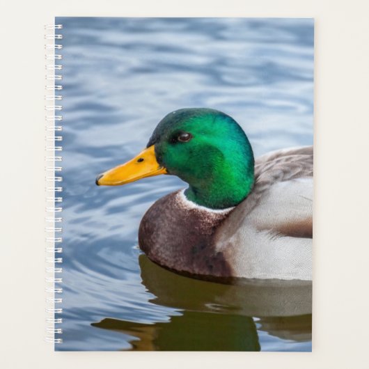 Mallard Duck Planner (Voorkant)