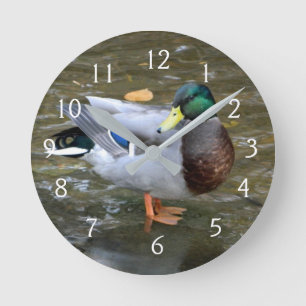 Mallard Duck Portrait Ronde Klok