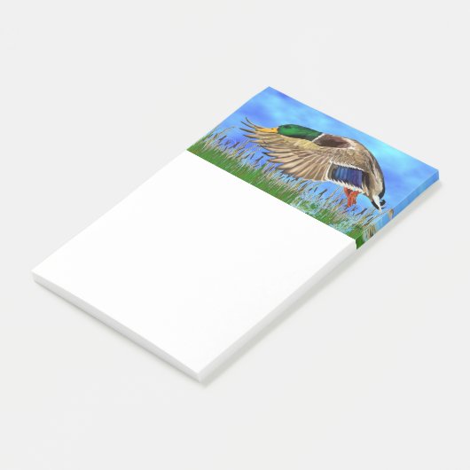 Mallard Duck Post-it® Notes (Schuin)