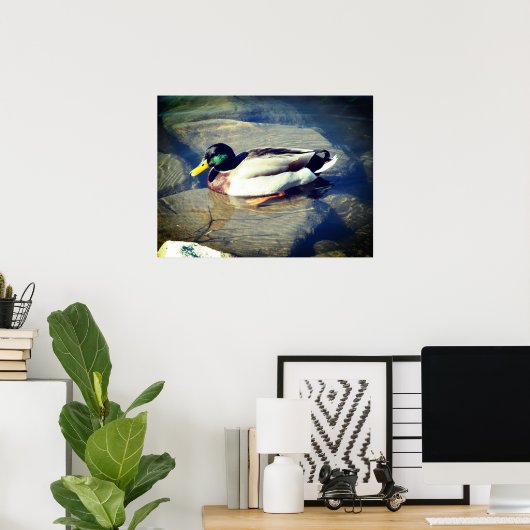 Mallard Duck Poster (Thuiskantoor)