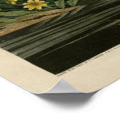 Mallard Duck Poster (Hoek)