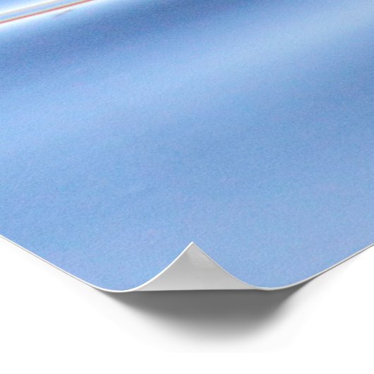 Mallard Duck Poster (Hoek)