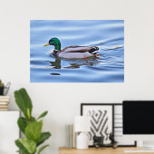 Mallard Duck Poster (Thuiskantoor)