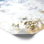 Mallard Duck Poster (Hoek)