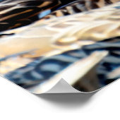 Mallard Duck Poster (Hoek)