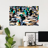Mallard Duck Poster (Thuiskantoor)