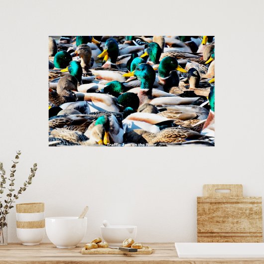 Mallard Duck Poster (Keuken)