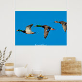 Mallard Duck Poster (Keuken)