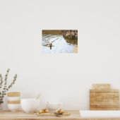 Mallard Duck Poster (Keuken)