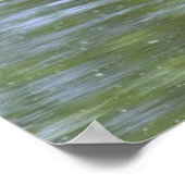 Mallard Duck Poster (Hoek)