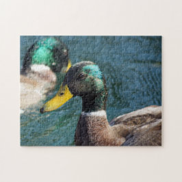 Mallard Duck Puzzle Legpuzzel