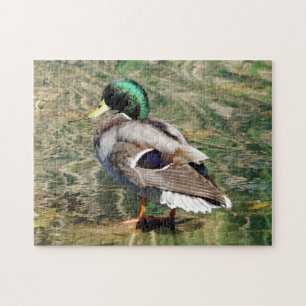 Mallard Duck Puzzle Legpuzzel