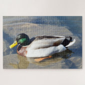 Mallard Duck Puzzle Legpuzzel (Horizontaal)
