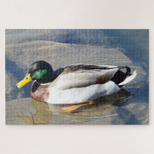 Mallard Duck Puzzle Legpuzzel (Horizontaal)