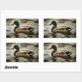 Mallard Duck Rechthoekige Sticker (Vel)