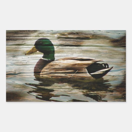 Mallard Duck Rechthoekige Sticker (Voorkant)