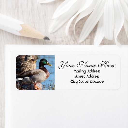 Mallard Duck Return Address Etiket (Insitu)