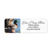 Mallard Duck Return Address Etiket (Voorkant)