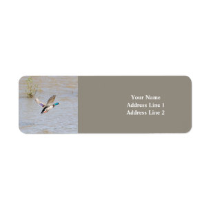 Mallard Duck Return Address Label