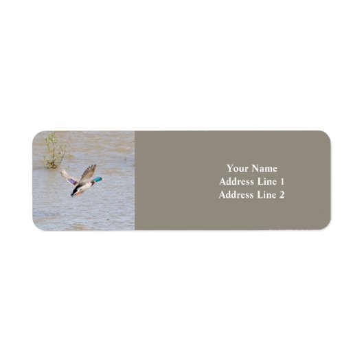 Mallard Duck Return Address Label (Voorkant)