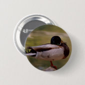 Mallard Duck Ronde Button 5,7 Cm (Voorkant /achterkant)