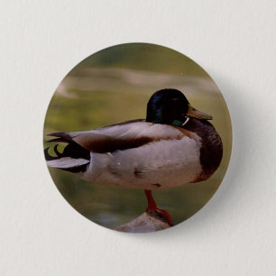 Mallard Duck Ronde Button 5,7 Cm
