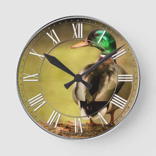 Mallard Duck Ronde Klok (Voorkant)