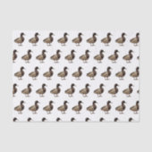 Mallard Duck Sepia Tone Tissue Paper Tissuepapier (Voorkant)