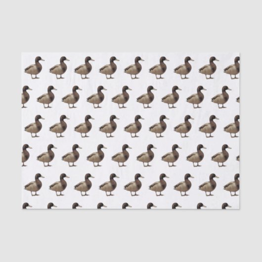 Mallard Duck Sepia Tone Tissue Paper Tissuepapier (Voorkant)