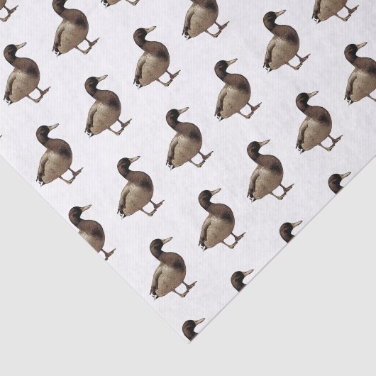 Mallard Duck Sepia Tone Tissue Paper Tissuepapier (Detail)