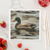 Mallard Duck Servet (Insitu)