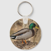 MALLARD DUCK Sleutelhanger (Voorkant)