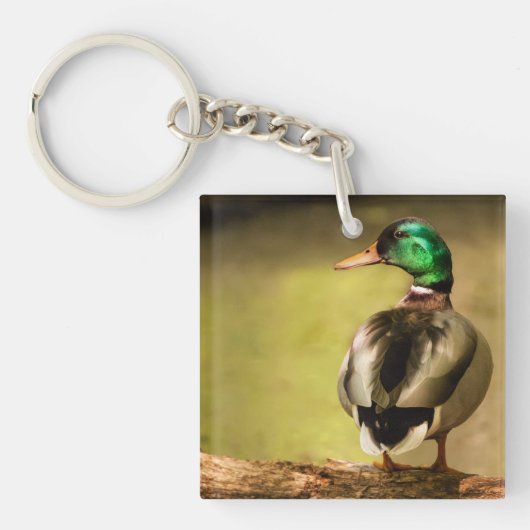 Mallard Duck Sleutelhanger (voorkant)