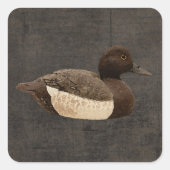  Mallard Duck Stickers (Voorkant)