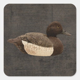 Mallard Duck Stickers
