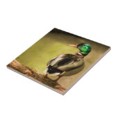 Mallard Duck Tegeltje (Zijkant)