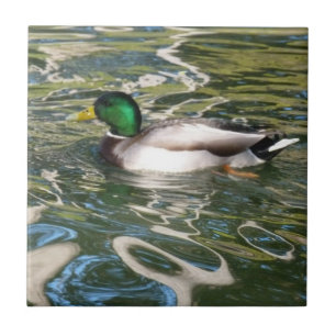 Mallard Duck Tegeltje