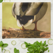 Mallard Duck Theedoek (Gevouwen)