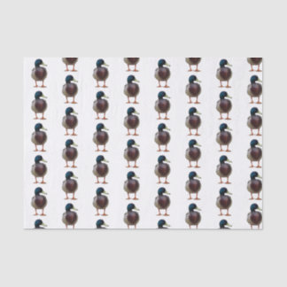 Mallard Duck Tissue Paper Tissuepapier