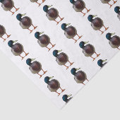 Mallard Duck Tissue Paper Tissuepapier (Detail)