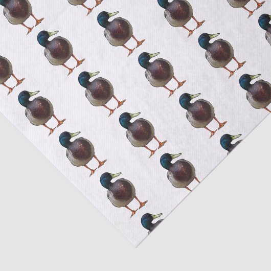 Mallard Duck Tissue Paper Tissuepapier (Detail)