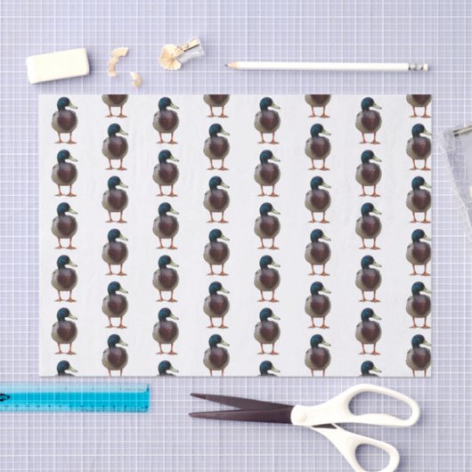 Mallard Duck Tissue Paper Tissuepapier (Craft)