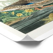 Mallard Duck van Audubon Poster (Hoek)