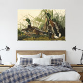 Mallard Duck van Audubon's Birds of America Canvas Afdruk (Insitu (Slaapkamer))