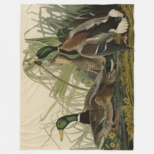 Mallard Duck van Audubon's Birds of America Fleece Deken (Voorkant)