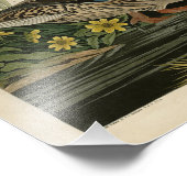 Mallard Duck van Audubon's Birds of America Foto Afdruk (Hoek)