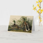 Mallard Duck van Audubon's Birds of America Kaart (Gele Bloem)