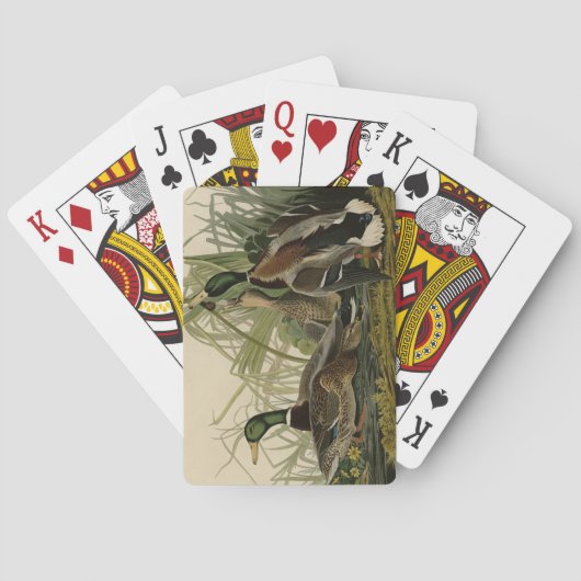 Mallard Duck van Audubon's Birds of America Pokerkaarten (Achterkant)