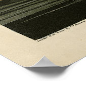 Mallard Duck van Audubon's Birds of America Poster (Hoek)